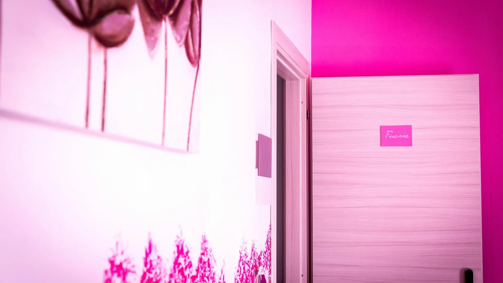 *** Nocleg ze śniadaniem Colors B&B Palermo Włochy
